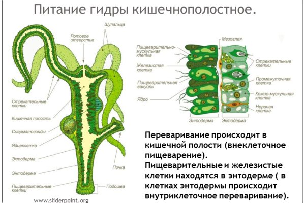 Кракен актуальное зеркало