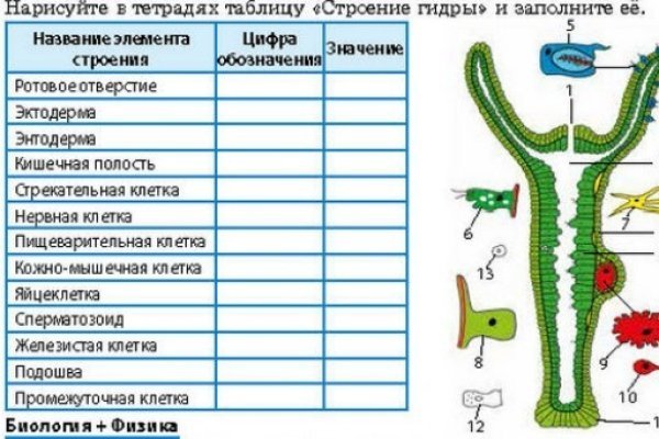 Официальная тор ссылка кракен сайта