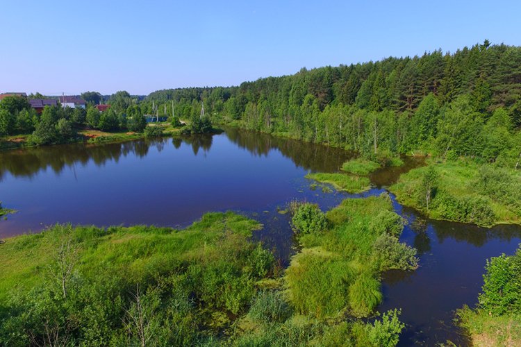 Ссылки на кракен маркетплейс тг